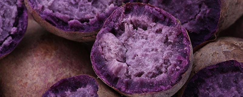 紫薯不能与什么同吃 吃紫薯有什么好处