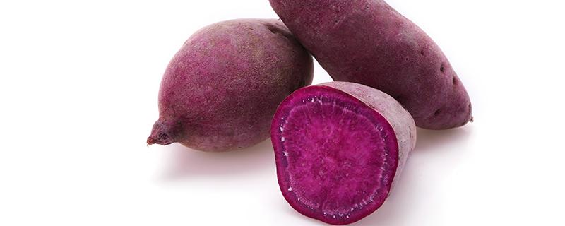 大紫薯和小紫薯哪个好 小紫薯与大紫薯的区别