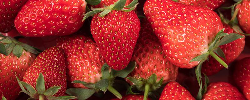 减肥期间吃草莓会发胖吗 草莓和什么一起吃减肥