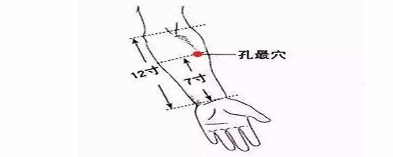 孔最的准确位置图和作用（孔最的准确位置图和作用简单方法）