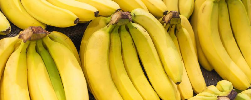 香蕉能放在冰箱里面保存吗 没熟透的香蕉能吃吗