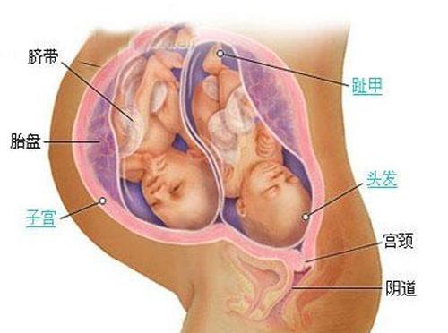 产褥期妇女生殖系统的生理变化 产褥期妇女生殖系统的生理变化有哪些