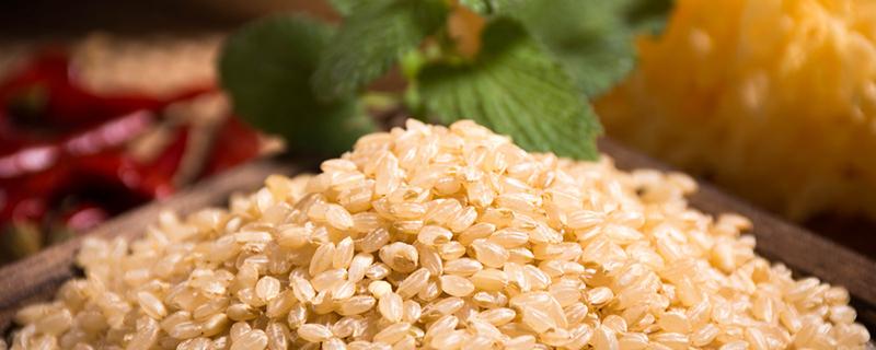 糙米可以怎么做好吃 糙米要怎么食用