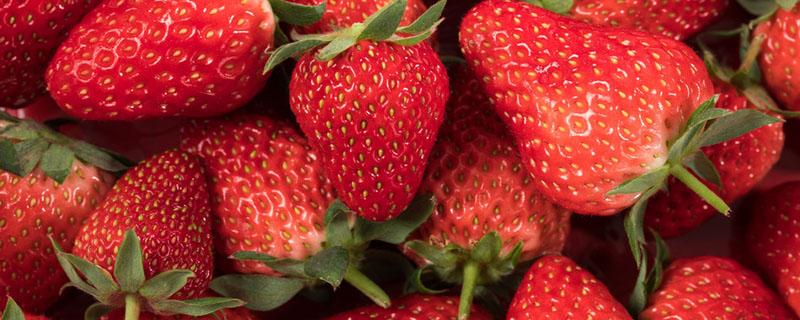 草莓哪个季节最好吃 冬天的草莓是反季节吗