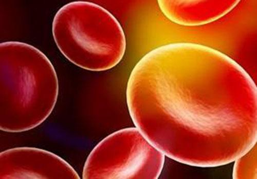 抽血rhd阳性什么意思 血检rhd阳性是正常现象吗