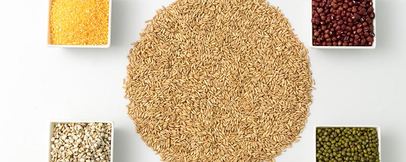 糙米能和小米一块熬粥吗 糙米小米粥怎么做好吃