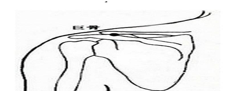 巨骨的位置及方向 巨骨的准确位置图