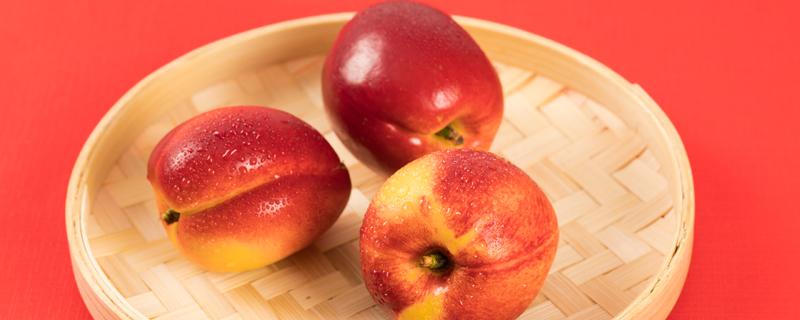 油桃和牛奶可以一起吃吗 油桃什么时候吃最好