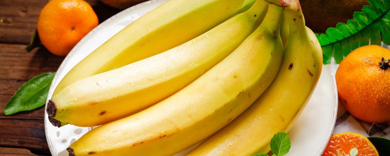 一天什么时候吃香蕉有助于减肥 晚上十点吃香蕉会长胖吗