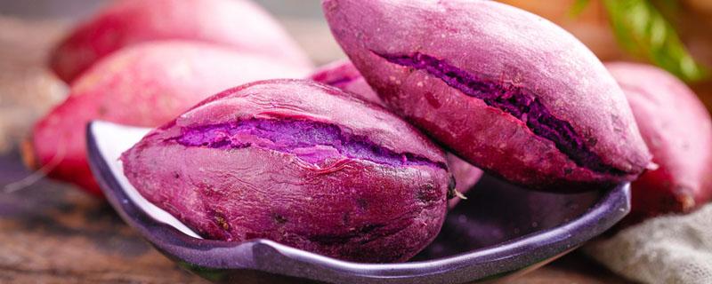 蒸紫薯要放多少水 紫薯可以切片蒸吗