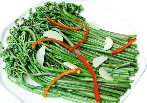蕨菜为什么苦 蕨菜有点苦能吃吗