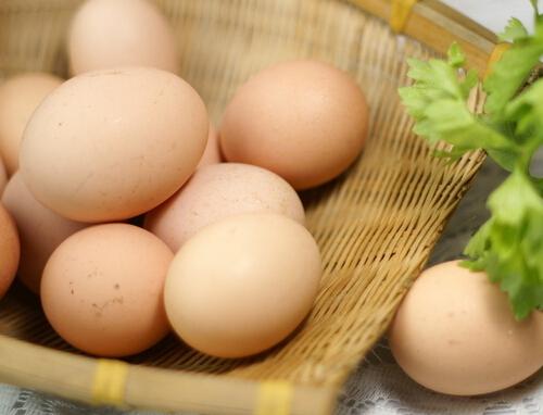 早晨吃鸡蛋的好处有哪些 早晨吃鸡蛋的好处有哪些呢