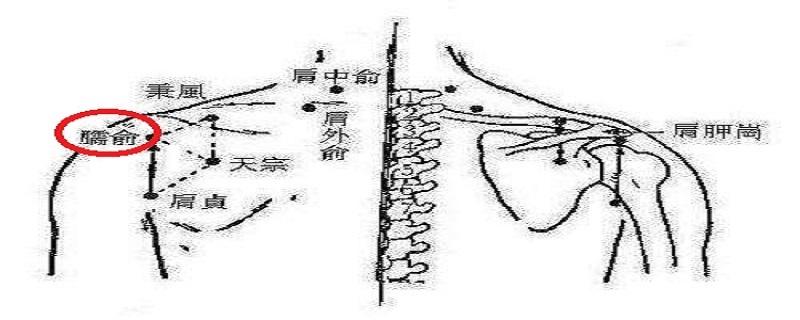 臑俞准确位置图（臑俞准确位置图和作用）