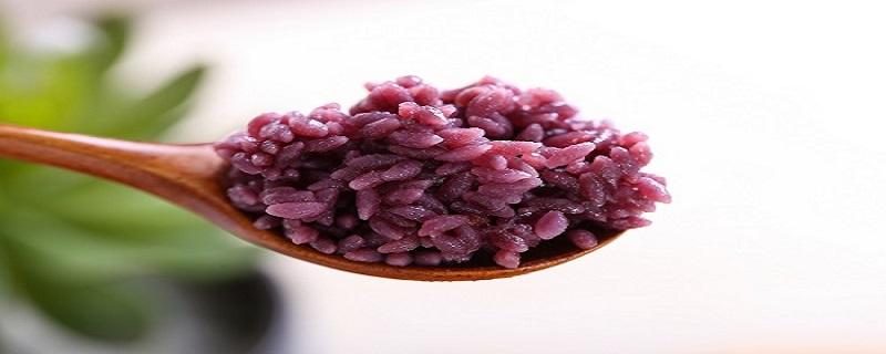 紫米怎么吃 紫米和什么搭配