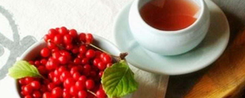 五味子茶的功效与作用及禁忌 五味子茶伤肝还是养肝
