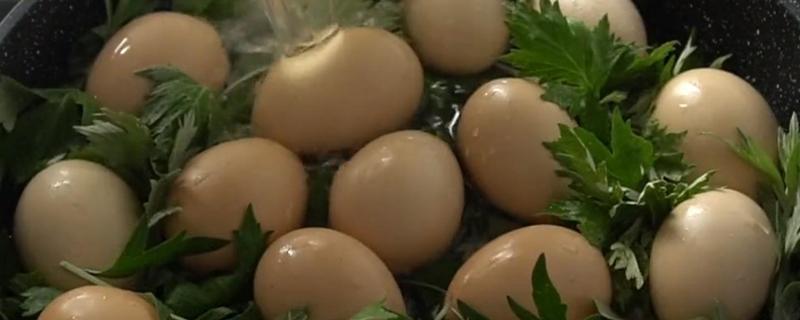 新鲜艾草煮蛋的功效和作用 新鲜艾草煮蛋的功效和作用什么时候吃最有效