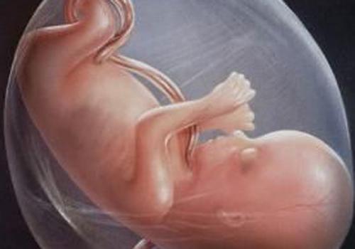 胎儿缺氧多久会有危险 孕期胎儿缺氧多久会有危险
