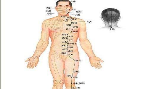 足阳明胃经按摩顺序（足阳明胃经什么时候按摩好）