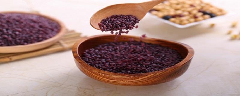 紫米和什么煮粥最营养 紫米煮粥要泡吗