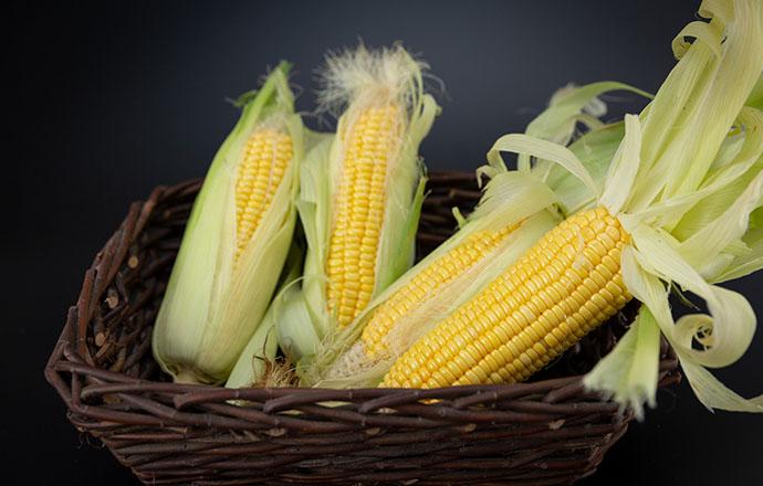 吃玉米有减肥效果吗 玉米减肥吃好吗