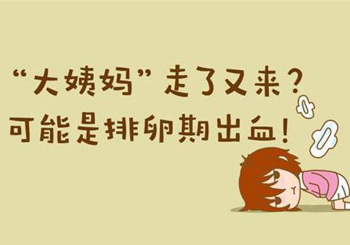 排卵期出血前一天同房会不会怀孕 排卵期出血前一周同房会怀孕吗