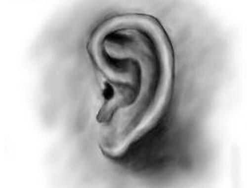 耳朵出现1个特征竟会威胁生命（耳朵反映身体状况）