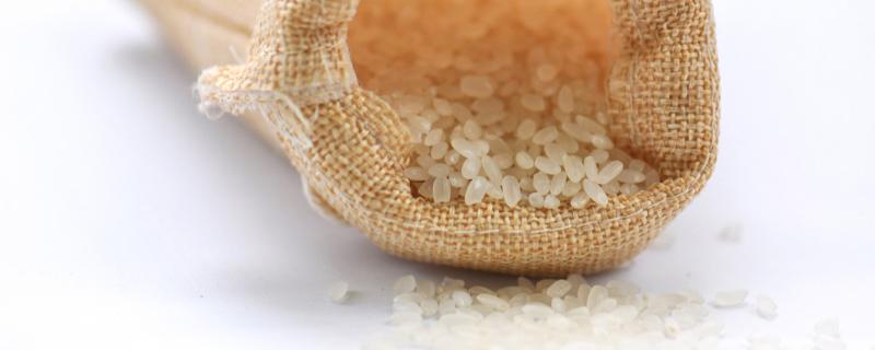 糙米和大米的区别 糙米和大米一起怎么煮