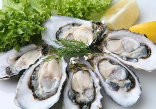 牡蛎的营养价值 牡蛎有什么功效