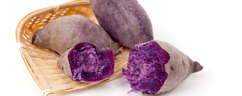 紫色番薯能放进微波炉里烤吗 天天吃紫薯有什么好处