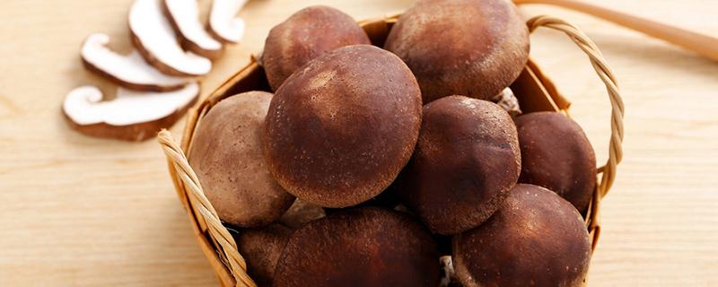 新鲜香菇可以放多久 香菇常温下能放多久