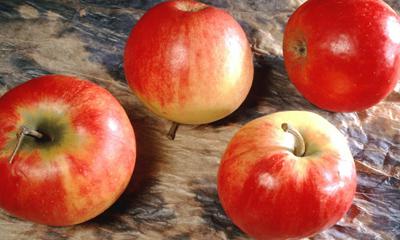多囊卵巢综合症能吃苹果吗 多囊卵巢综合症可以吃水果