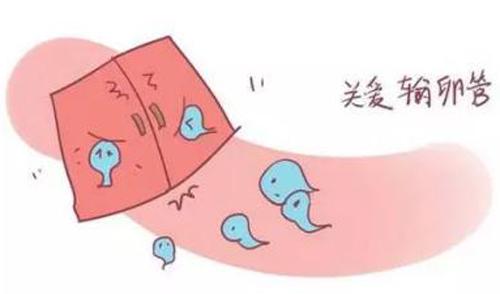 输卵管堵塞原因 输卵管堵塞原因有哪些