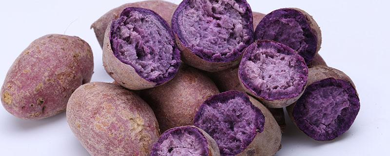 紫薯和什么不能一起吃 吃紫薯有什么好处