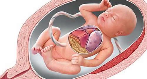 胎儿缺氧的后果（胎儿缺氧会造成什么影响）