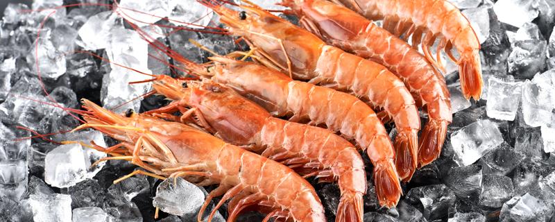 基围虾和什么菜一起搭配最好 基围虾和什么不能一起吃