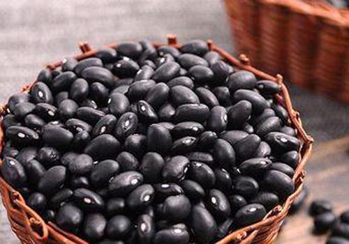 黑豆能促进卵泡发育吗