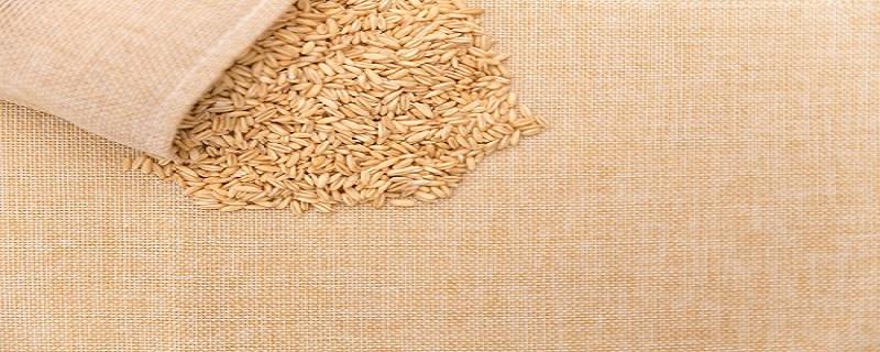 糙米放多少水 煮糙米饭的米水比例