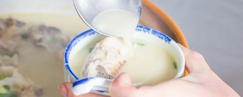 鱼头豆腐汤和牛奶相克吗 鱼头豆腐汤熬多久营养最好