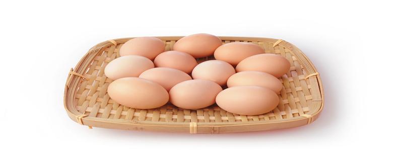 鸡蛋可以代替鸡胸肉吗 鸡蛋和鸡胸肉哪个更利于减肥