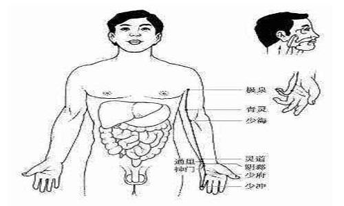 手少阴心经经络图 手少阴心经经络图走向和作用