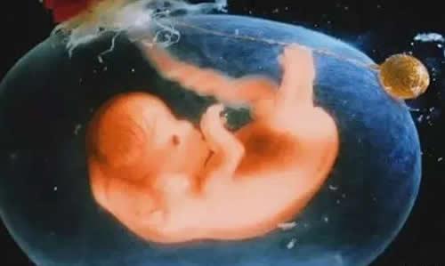 胎儿是在羊水中泡着吗 胎儿是一直泡在羊水里的吗?