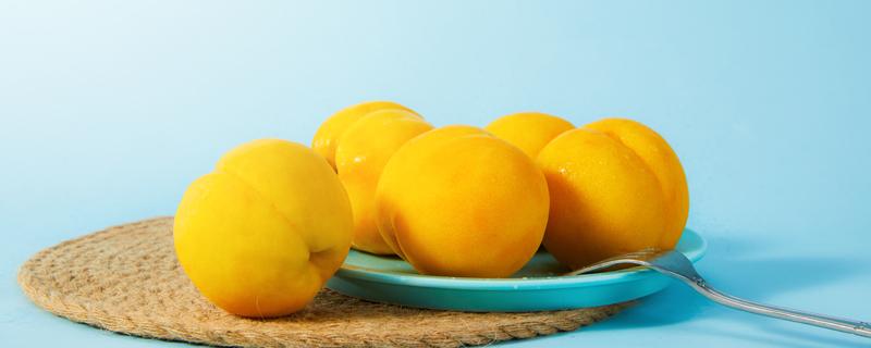 黄桃可以放冰箱吗 硬的黄桃可以放冰箱吗