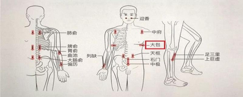 大包的准确位置及功效（大包准确位置含义及功效）