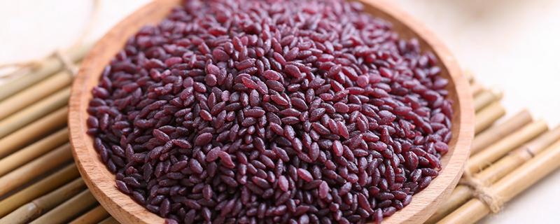 紫米什么人不能吃 紫米有哪些营养成分