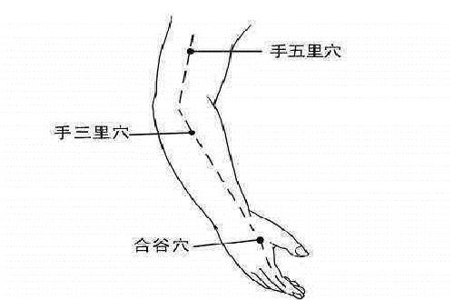 手五里的准确位置图和作用（手五里的准确位置图和作用的准确位置图片）