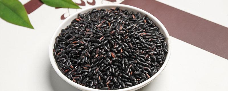 黑米和米饭哪个热量高 黑米吃多了会发胖吗