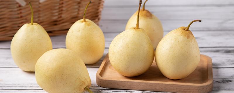 梨子多吃会胖吗 一天中什么时候吃梨子减肥