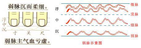 脉象弱是怎么回事 夏天脉象弱是怎么回事