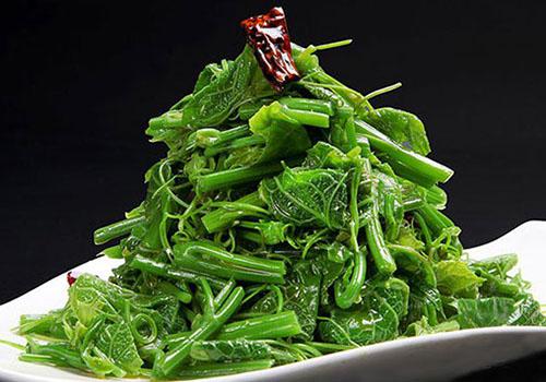 云龙菜是蕨菜吗 蕨菜和云龙菜的区别