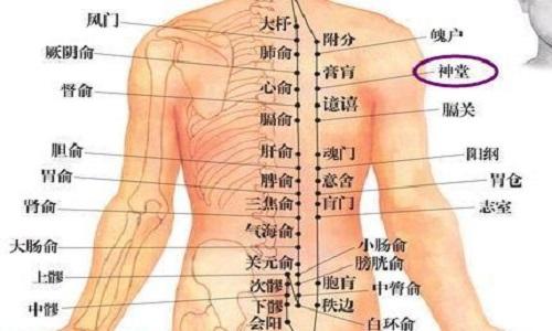 神堂的准确位置图 神堂的准确位置图和作用